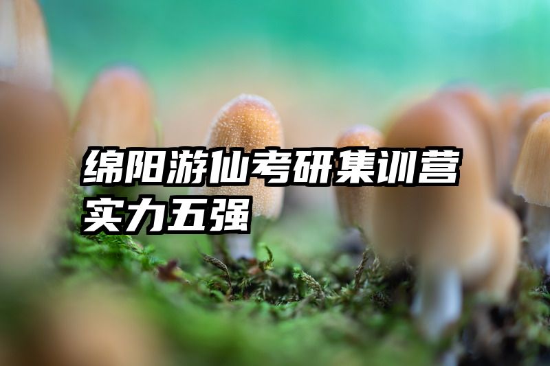 绵阳游仙考研集训营实力五强