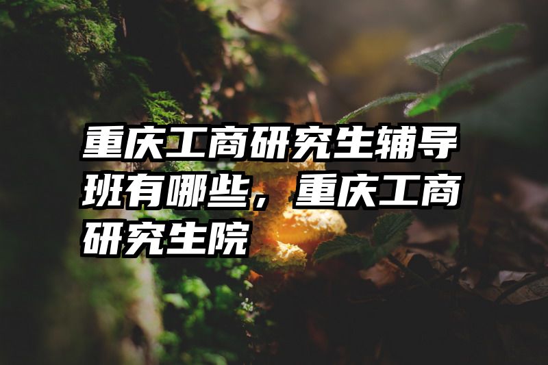 重庆工商研究生辅导班有哪些，重庆工商研究生院