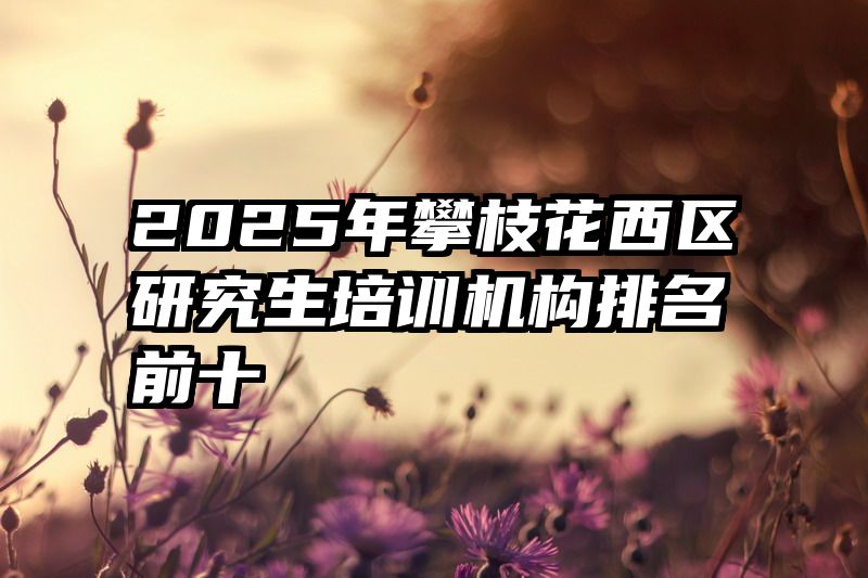2025年攀枝花西区研究生培训机构排名前十