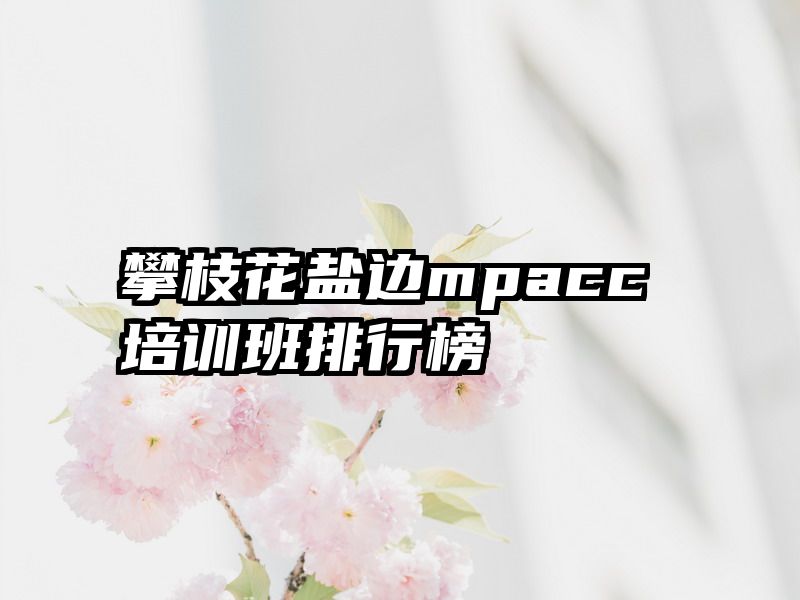 攀枝花盐边mpacc培训班排行榜