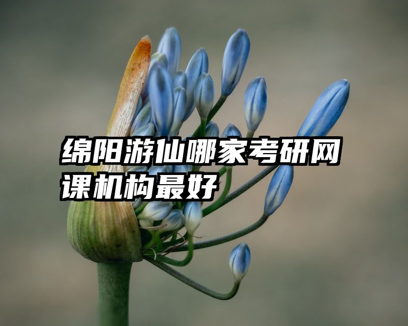 绵阳游仙哪家考研网课机构最好