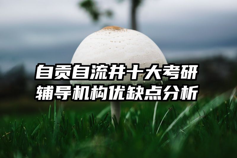 自贡自流井十大考研辅导机构优缺点分析