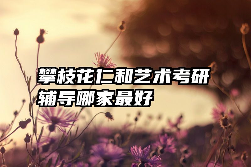 攀枝花仁和艺术考研辅导哪家最好