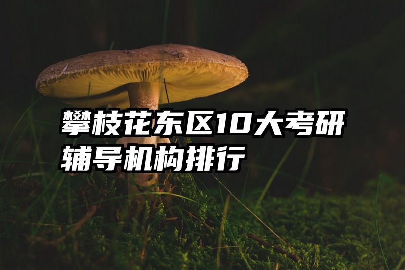 攀枝花东区10大考研辅导机构排行