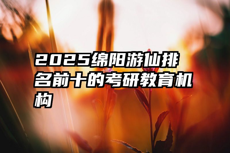 2025绵阳游仙排名前十的考研教育机构