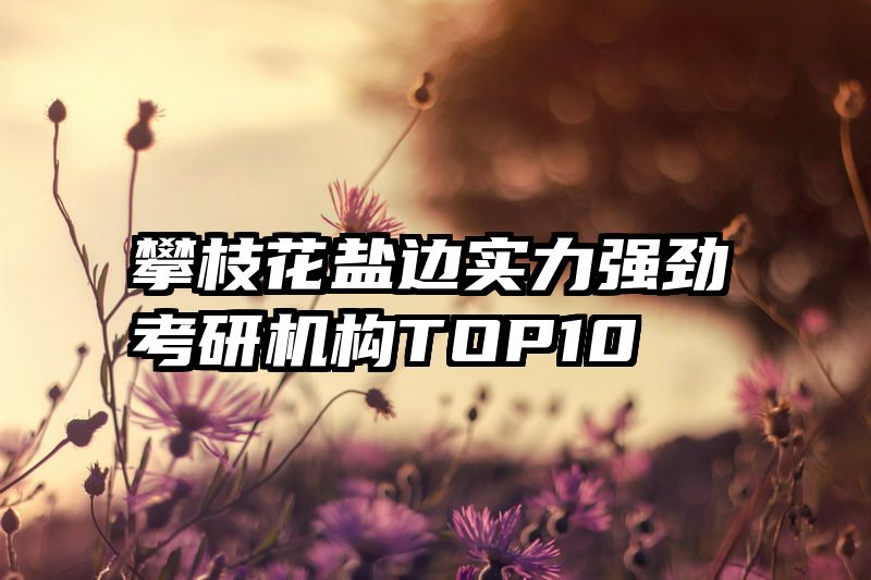 攀枝花盐边实力强劲考研机构TOP10