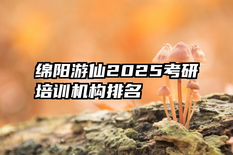 绵阳游仙2025考研培训机构排名