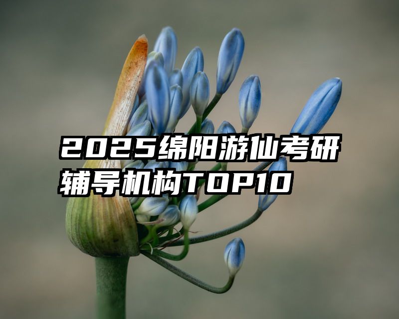 2025绵阳游仙考研辅导机构TOP10
