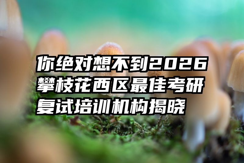 你绝对想不到2026攀枝花西区最佳考研复试培训机构揭晓