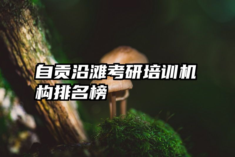自贡沿滩考研培训机构排名榜