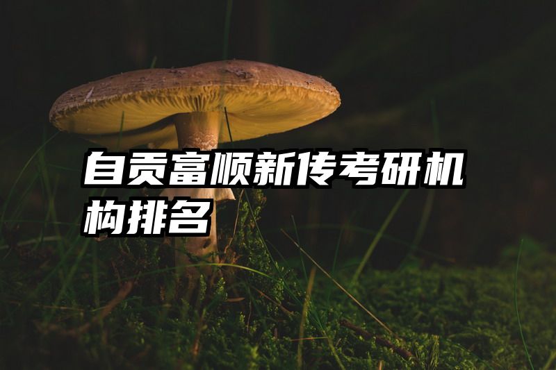 自贡富顺新传考研机构排名