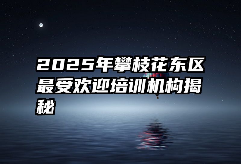 2025年攀枝花东区最受欢迎培训机构揭秘