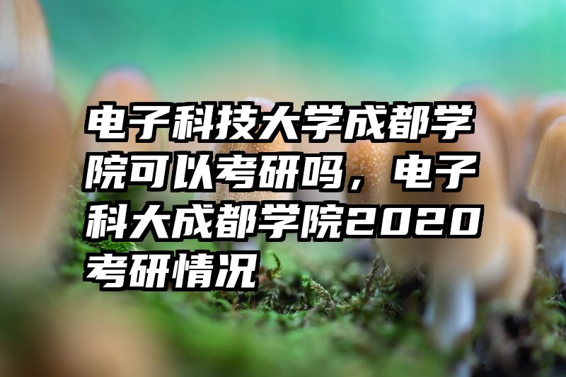 电子科技大学成都学院可以考研吗，电子科大成都学院2020考研情况