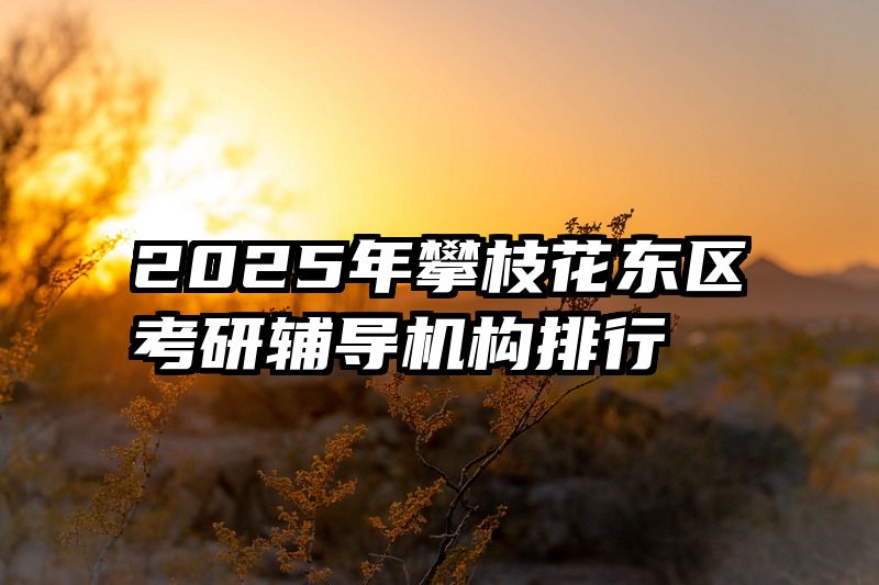 2025年攀枝花东区考研辅导机构排行