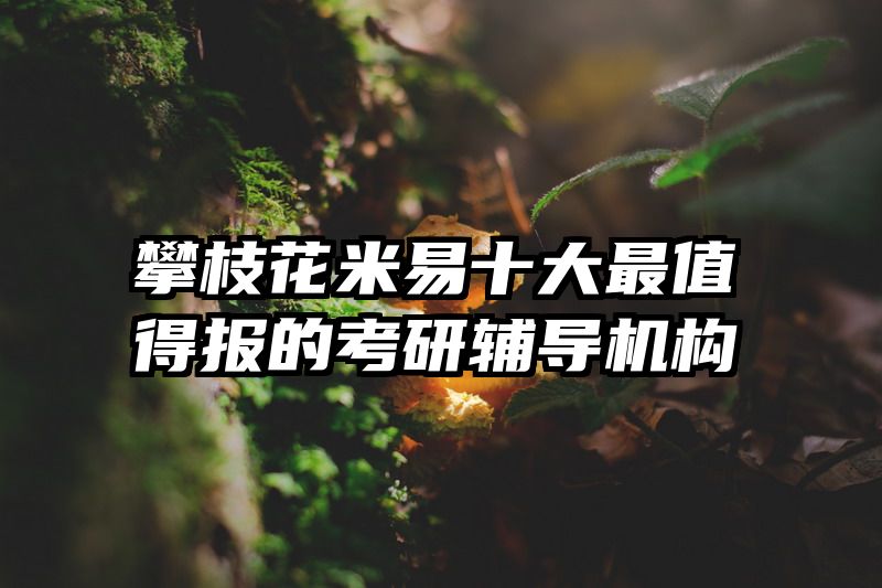 攀枝花米易十大最值得报的考研辅导机构