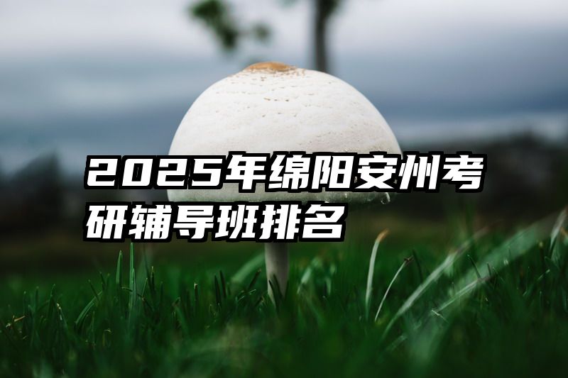 2025年绵阳安州考研辅导班排名