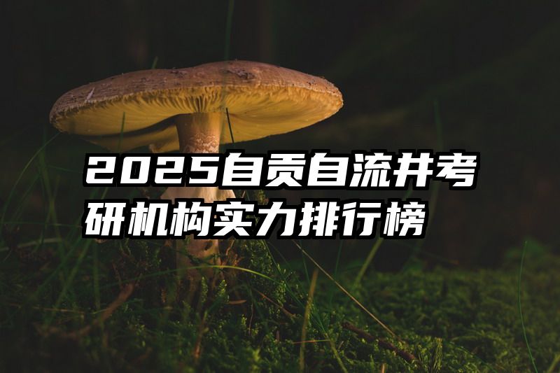 2025自贡自流井考研机构实力排行榜