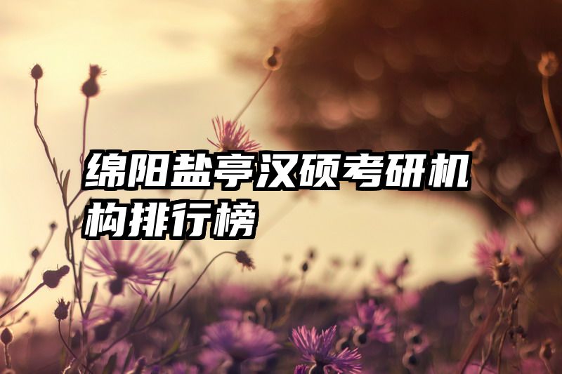 绵阳盐亭汉硕考研机构排行榜