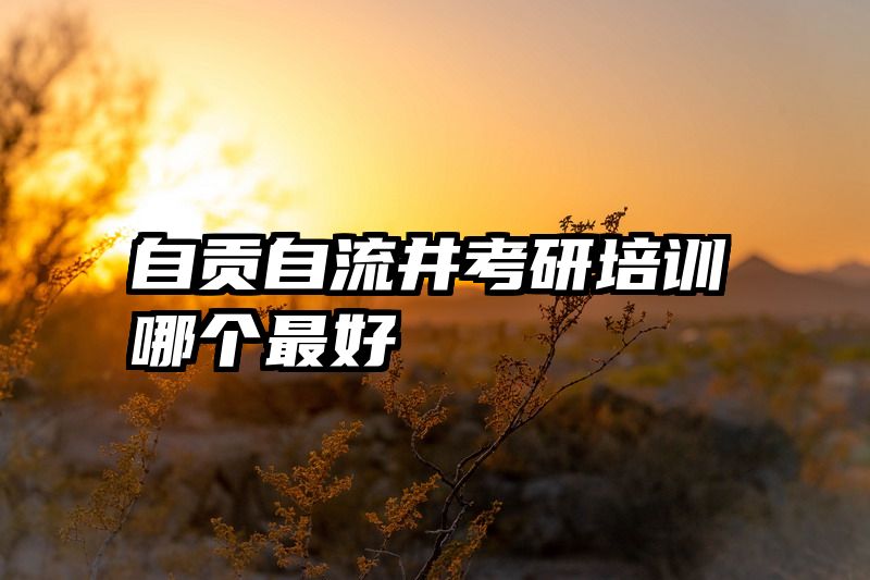自贡自流井考研培训哪个最好