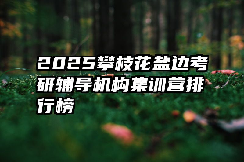 2025攀枝花盐边考研辅导机构集训营排行榜