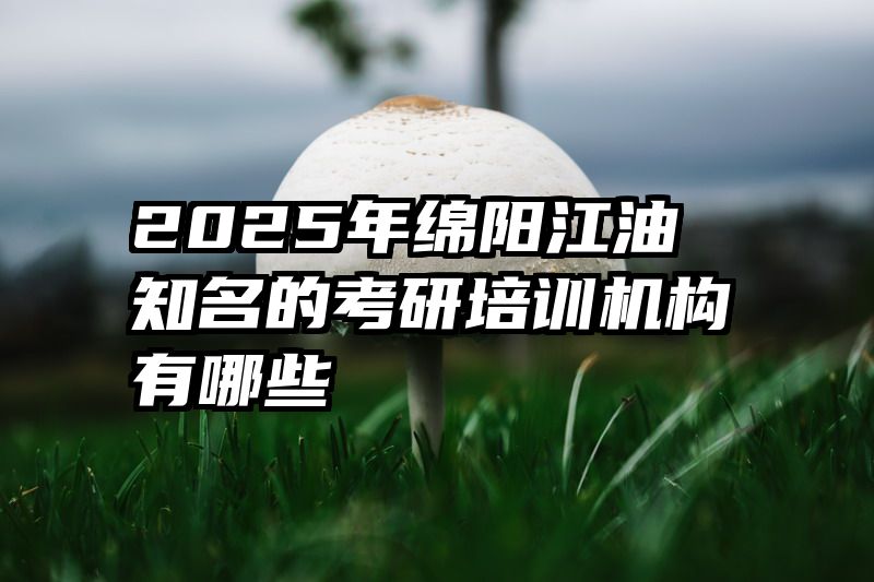 2025年绵阳江油知名的考研培训机构有哪些