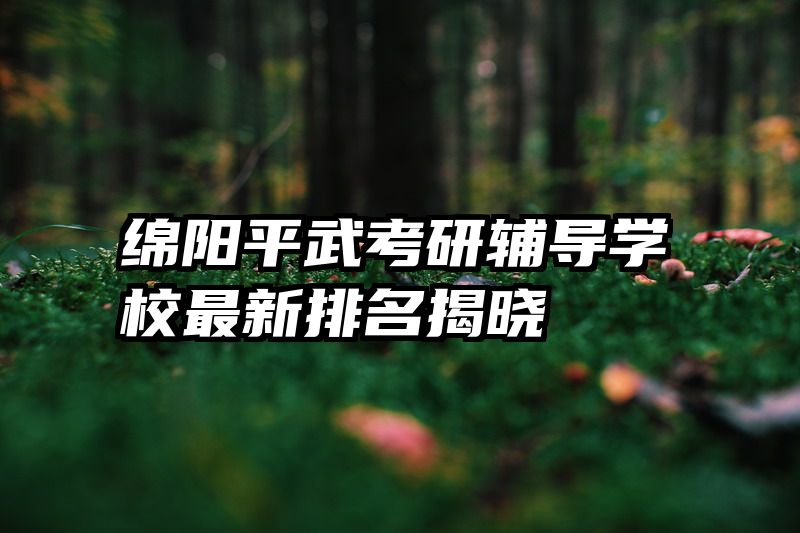 绵阳平武考研辅导学校最新排名揭晓