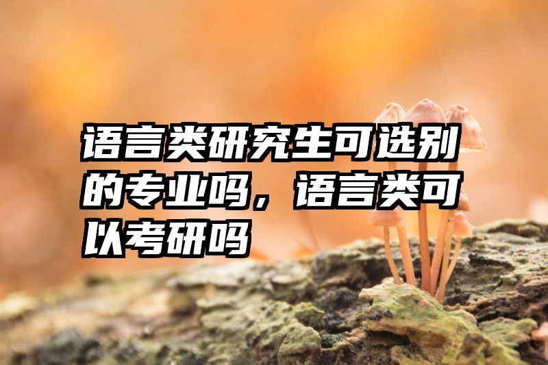 语言类研究生可选别的专业吗，语言类可以考研吗