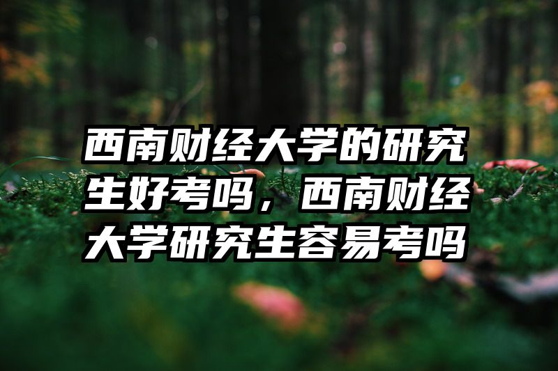 西南财经大学的研究生好考吗，西南财经大学研究生容易考吗