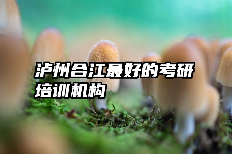 泸州合江最好的考研培训机构