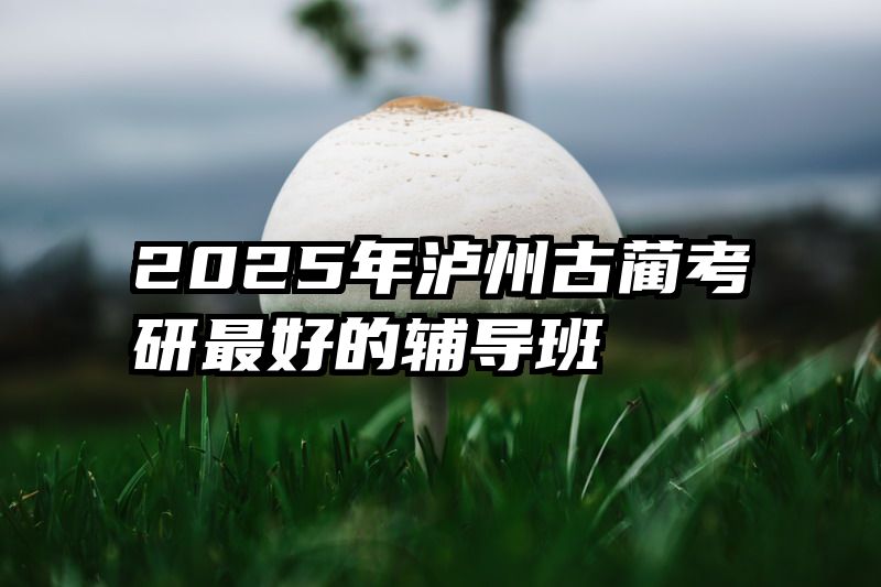 2025年泸州古蔺考研最好的辅导班