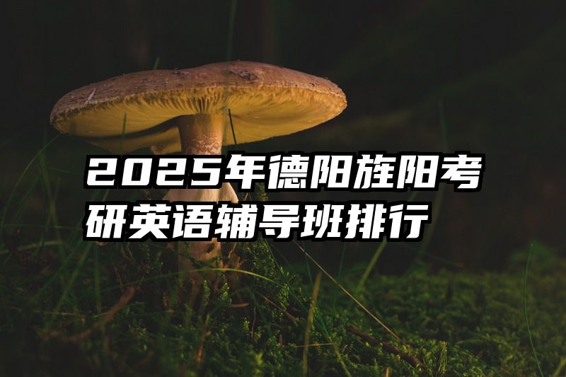 2025年德阳旌阳考研英语辅导班排行