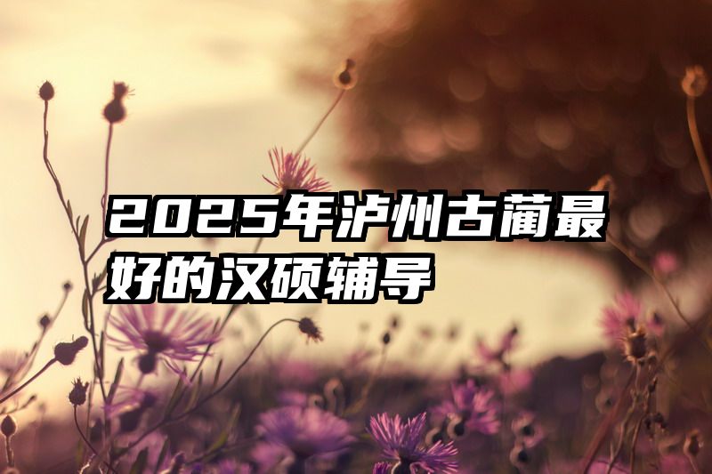 2025年泸州古蔺最好的汉硕辅导