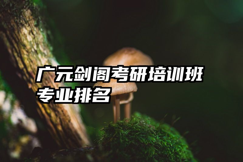 广元剑阁考研培训班专业排名
