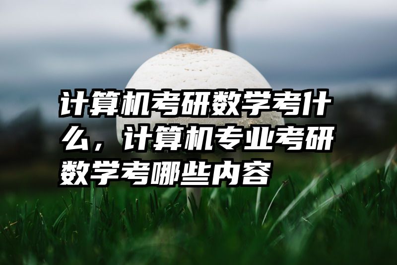 计算机考研数学考什么,计算机专业考研数学考哪些内容