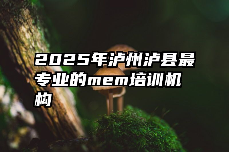 2025年泸州泸县最专业的mem培训机构