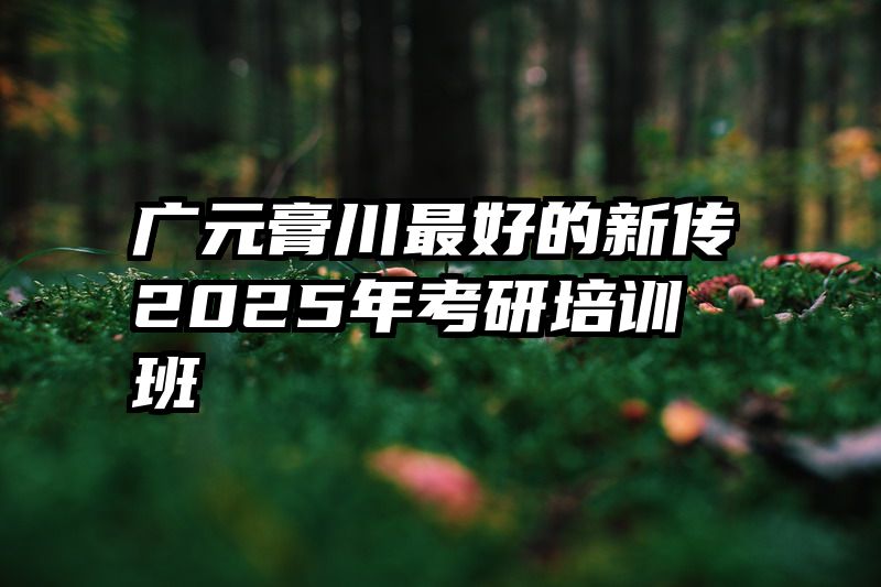 广元膏川最好的新传2025年考研培训班