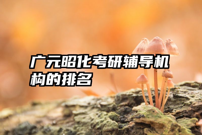 广元昭化考研辅导机构的排名