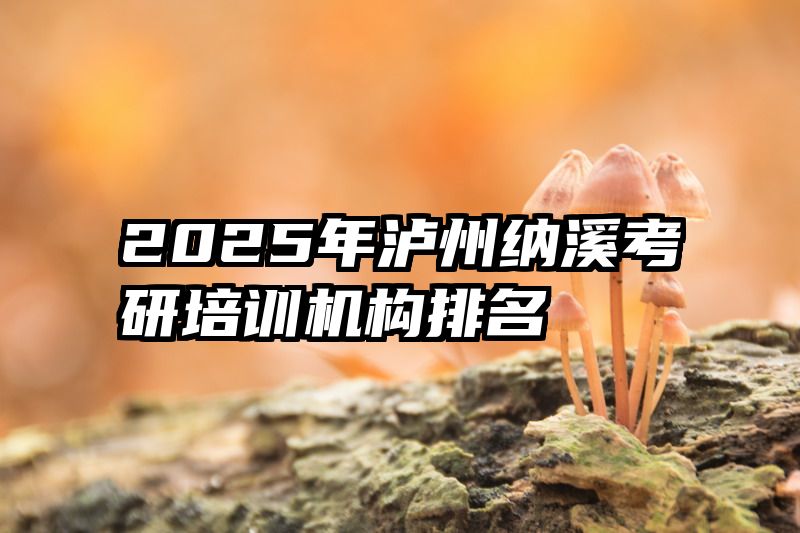 2025年泸州纳溪考研培训机构排名