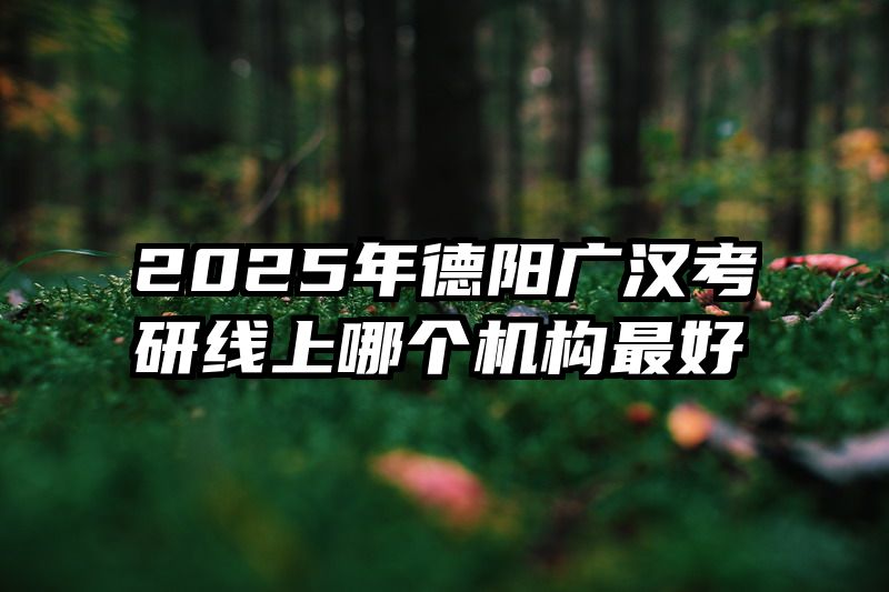 2025年德阳广汉考研线上哪个机构最好