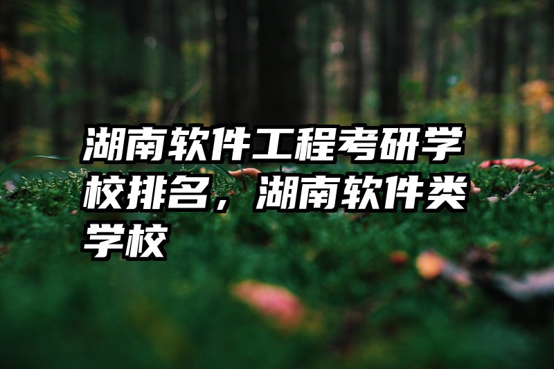 湖南软件工程考研学校排名,湖南软件类学校