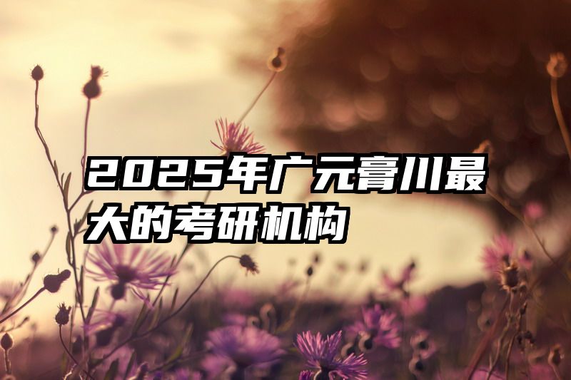 2025年广元膏川最大的考研机构
