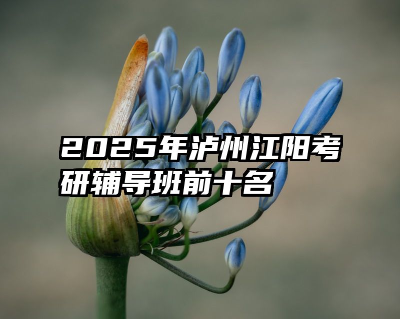 2025年泸州江阳考研辅导班前十名