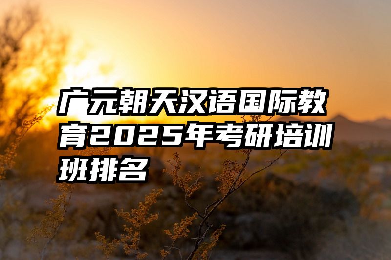 广元朝天汉语国际教育2025年考研培训班排名