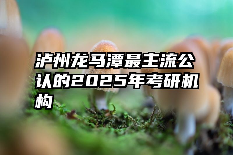 泸州龙马潭最主流公认的2025年考研机构