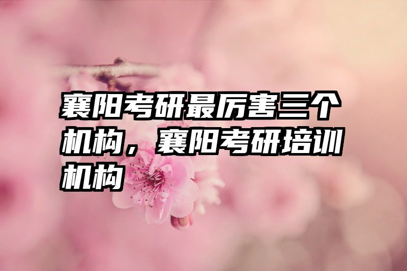襄阳考研最厉害三个机构,襄阳考研培训机构