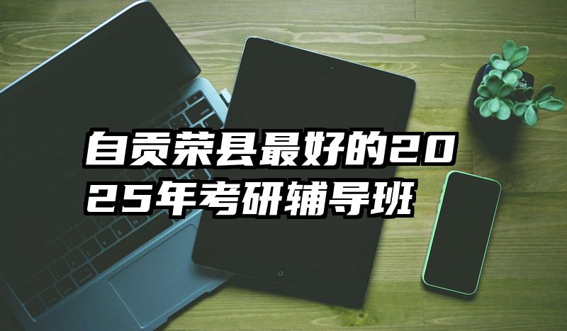 自贡荣县最好的2025年考研辅导班