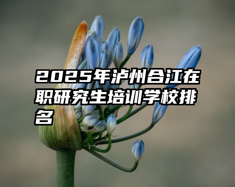 2025年泸州合江在职研究生培训学校排名