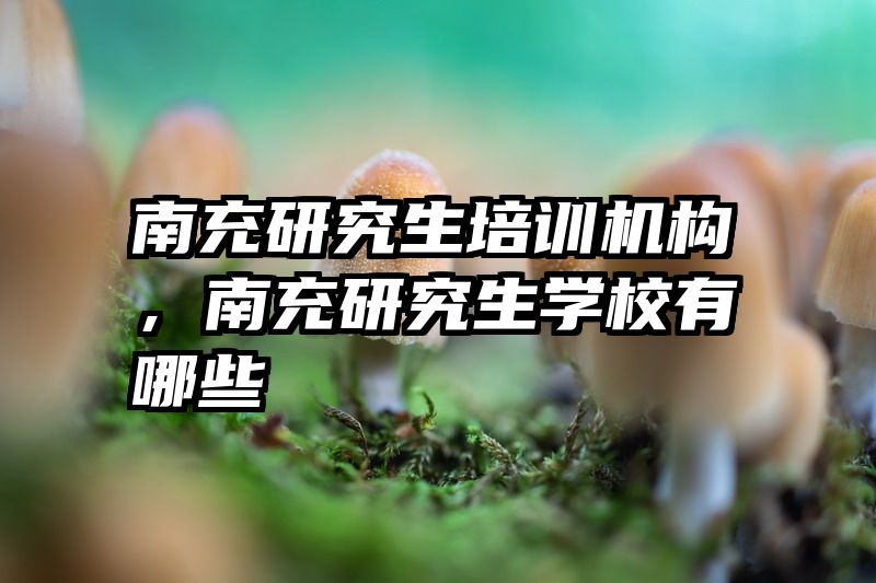 南充研究生培训机构,南充研究生学校有哪些