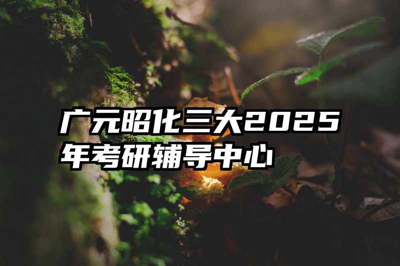 广元昭化三大2025年考研辅导中心