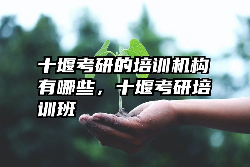 十堰考研的培训机构有哪些，十堰考研培训班